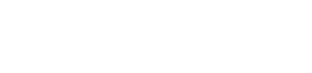 Practicalmag logo